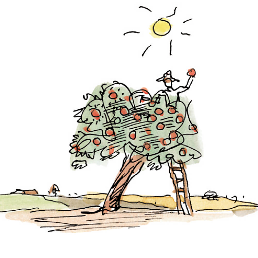 Le Pommier de Pomanchou