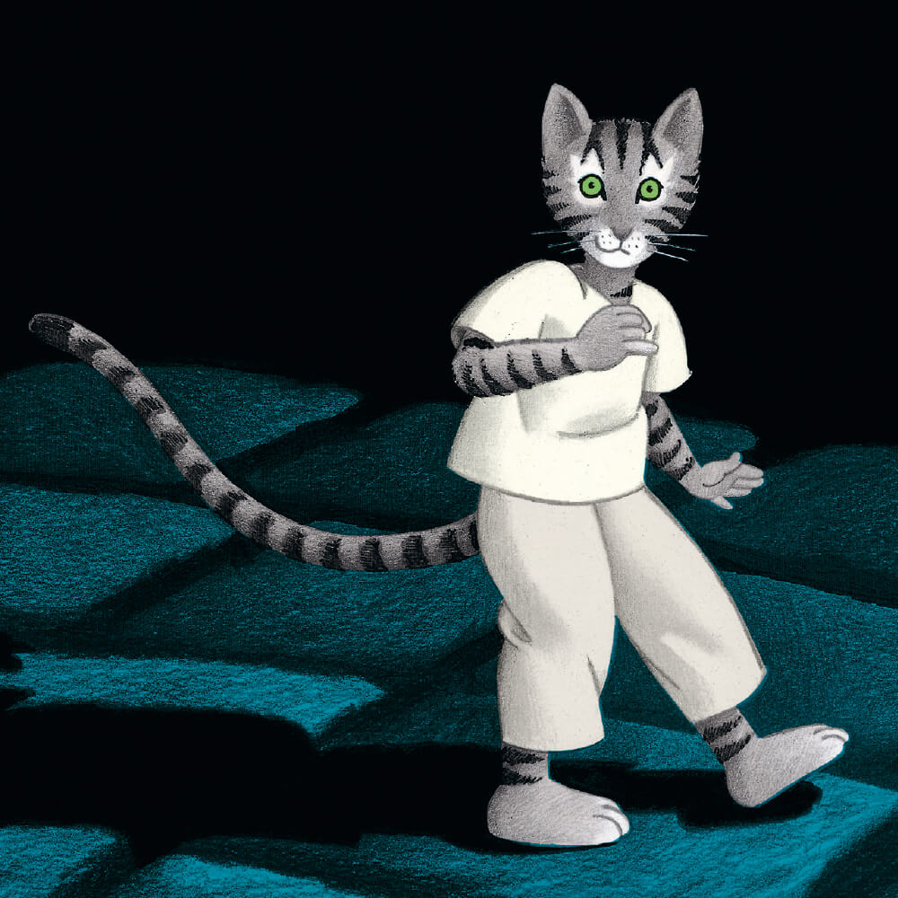 Une nuit, un chat...