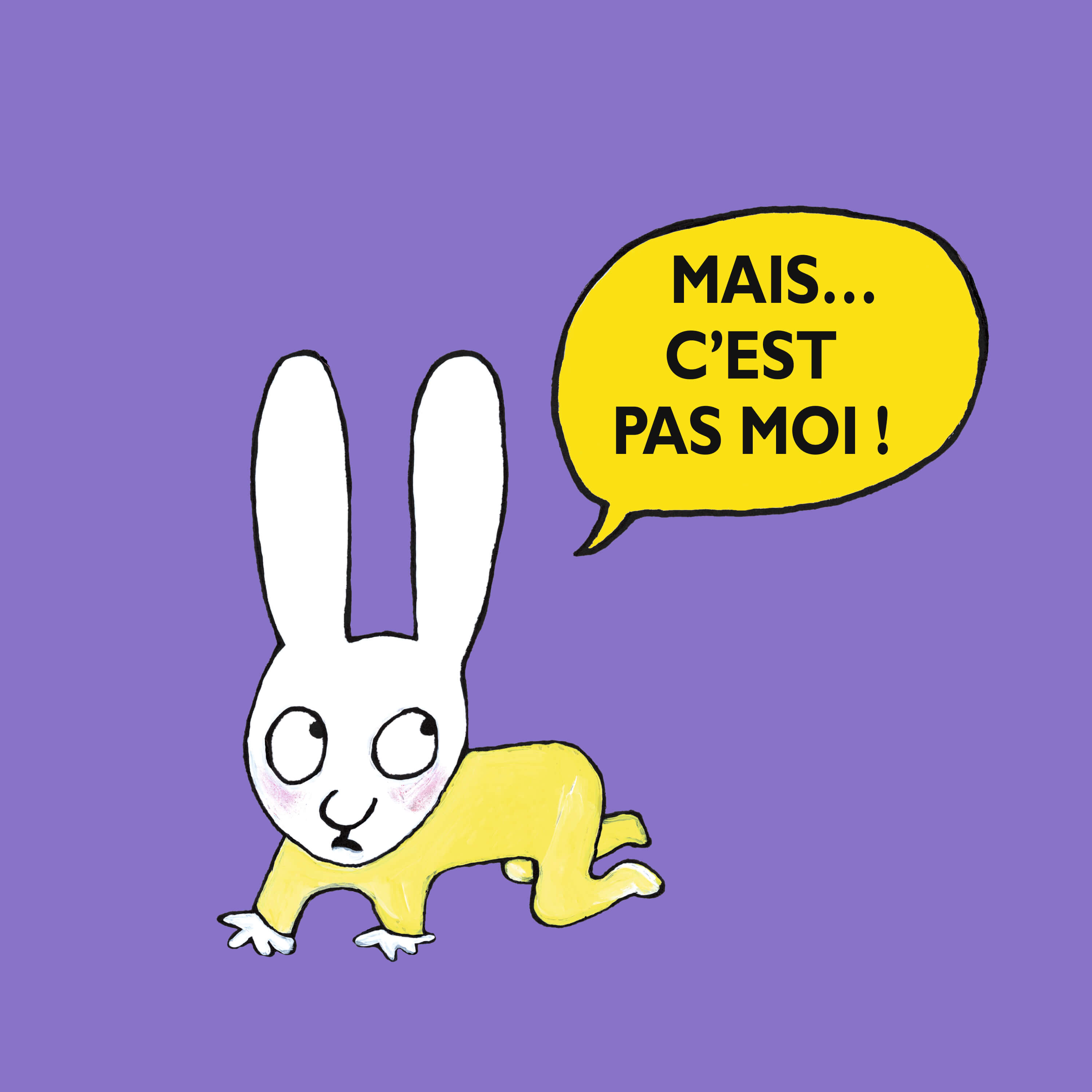 Mais... c'est pas moi !